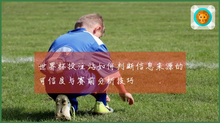 世界杯投注站如何判断信息来源的可信度与赛前分析技巧