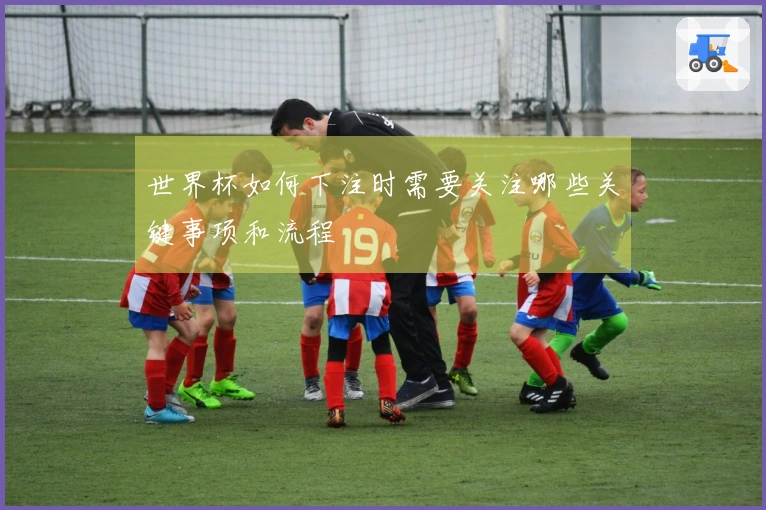 世界杯如何下注时需要关注哪些关键事项和流程