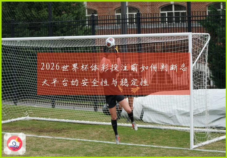 2026世界杯体彩投注前如何判断各大平台的安全性与稳定性