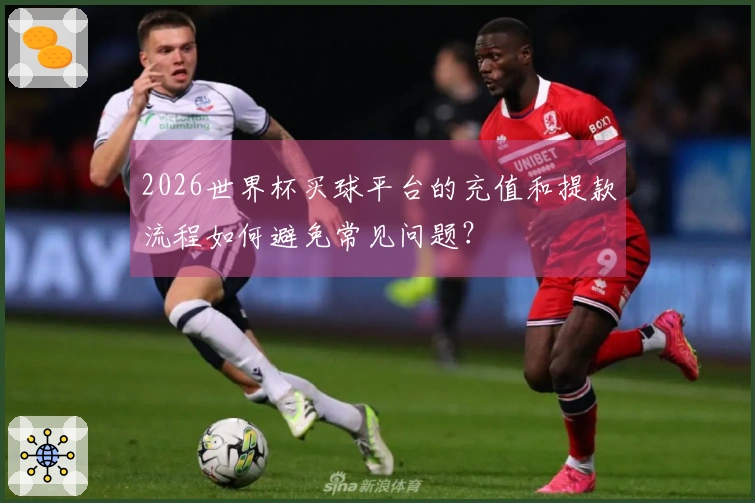 2026世界杯买球平台的充值和提款流程如何避免常见问题？