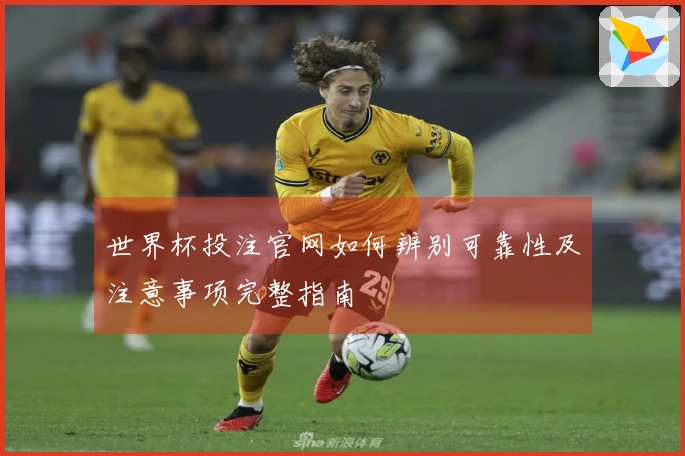 世界杯投注官网如何辨别可靠性及注意事项完整指南