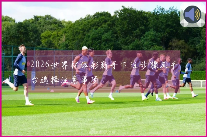2026世界杯体彩新手下注步骤及平台选择注意事项