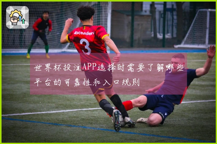 世界杯投注APP选择时需要了解哪些平台的可靠性和入口规则