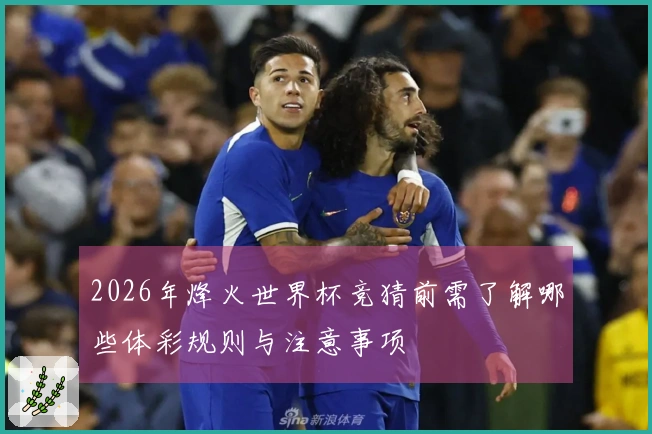 2026年烽火世界杯竞猜前需了解哪些体彩规则与注意事项