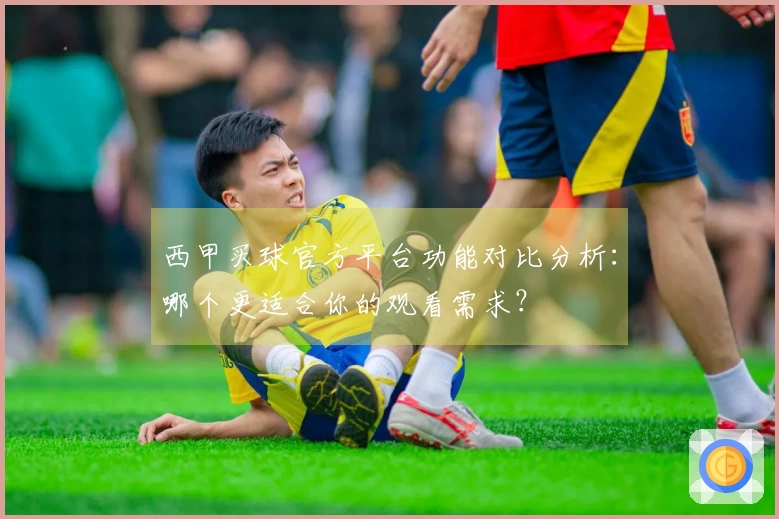 西甲买球官方平台功能对比分析：哪个更适合你的观看需求？