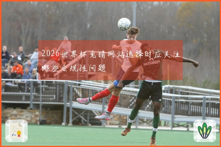 2026世界杯竞猜网站选择时应关注哪些合规性问题