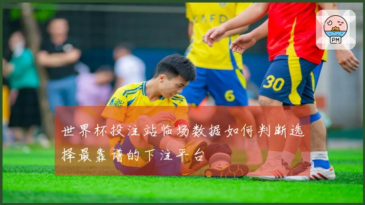 世界杯投注站临场数据如何判断选择最靠谱的下注平台
