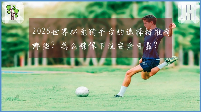 2026世界杯竞猜平台的选择标准有哪些？怎么确保下注安全可靠？