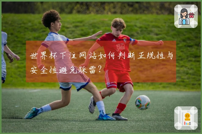 世界杯下注网站如何判断正规性与安全性避免踩雷？