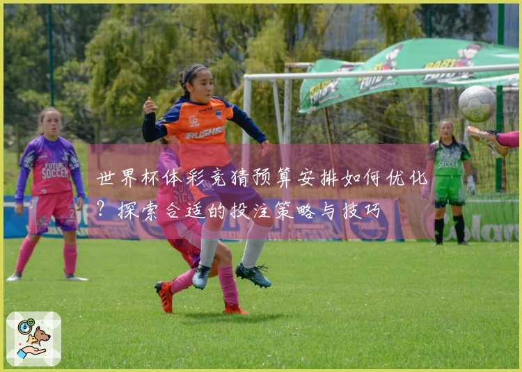世界杯体彩竞猜预算安排如何优化？探索合适的投注策略与技巧