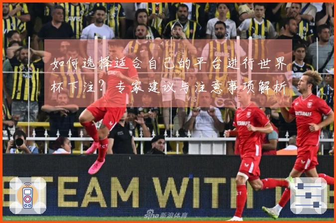 如何选择适合自己的平台进行世界杯下注？专家建议与注意事项解析