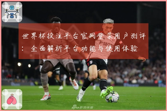 世界杯投注平台官网登录用户测评：全面解析平台功能与使用体验