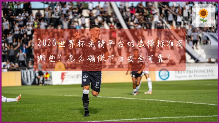 2026世界杯竞猜平台的选择标准有哪些？怎么确保下注安全可靠？