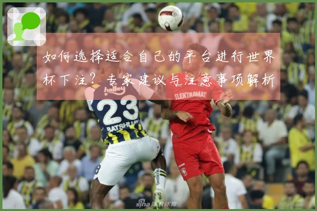 如何选择适合自己的平台进行世界杯下注？专家建议与注意事项解析