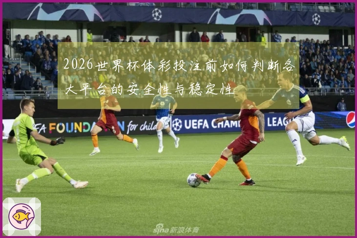 2026世界杯体彩投注前如何判断各大平台的安全性与稳定性