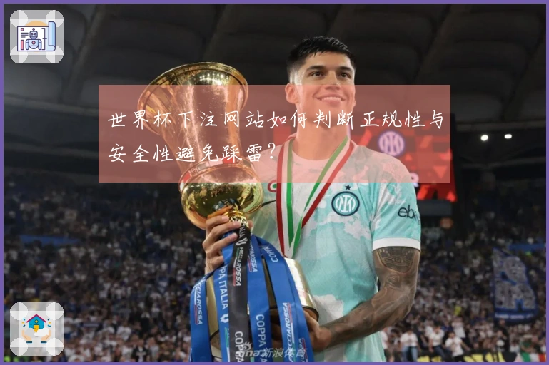 世界杯下注网站如何判断正规性与安全性避免踩雷？