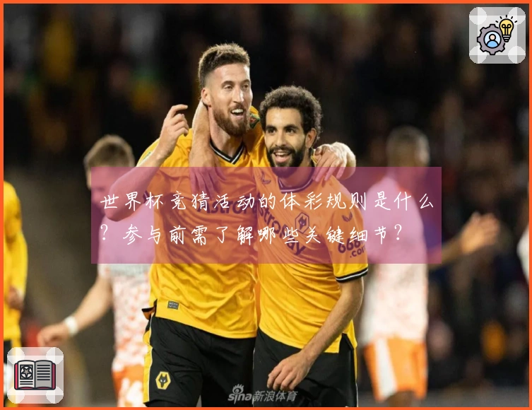 世界杯竞猜活动的体彩规则是什么？参与前需了解哪些关键细节？