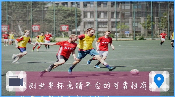 预测世界杯竞猜平台的可靠性有哪些参考数据和判断依据