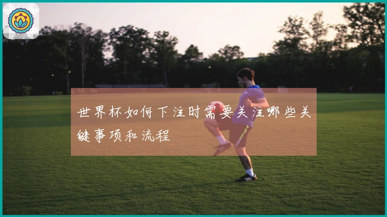 世界杯如何下注时需要关注哪些关键事项和流程